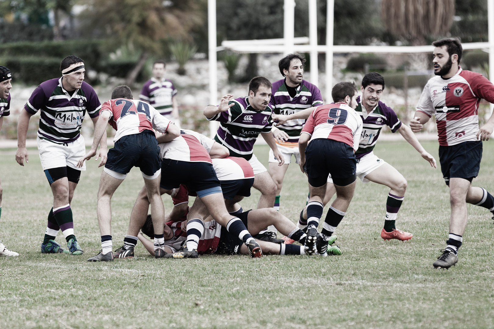 Rucks & Mauls Rugby Dojo